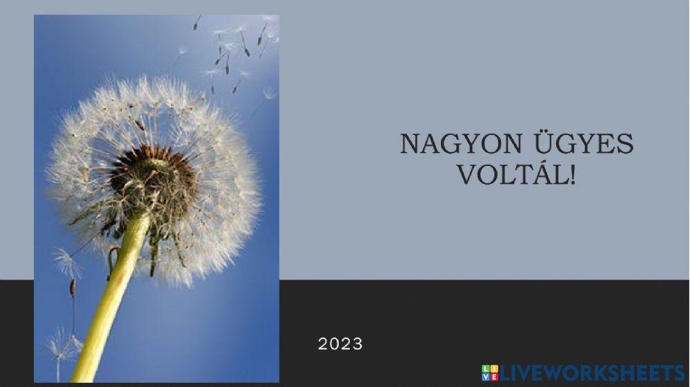 Június-Juli-fodrásznál-Szövegértés-B