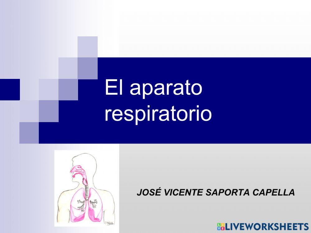 El aparato respiratorio