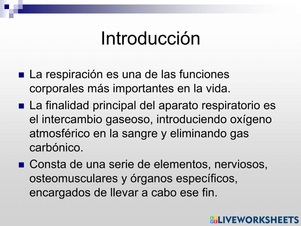 El aparato respiratorio