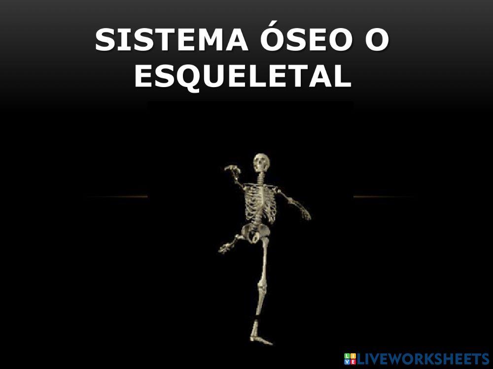 Sistema esqueleto