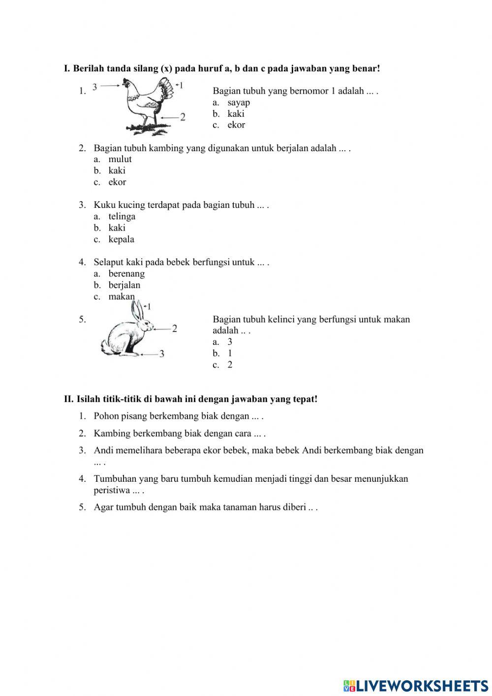 Soal Latihan Kelas 2