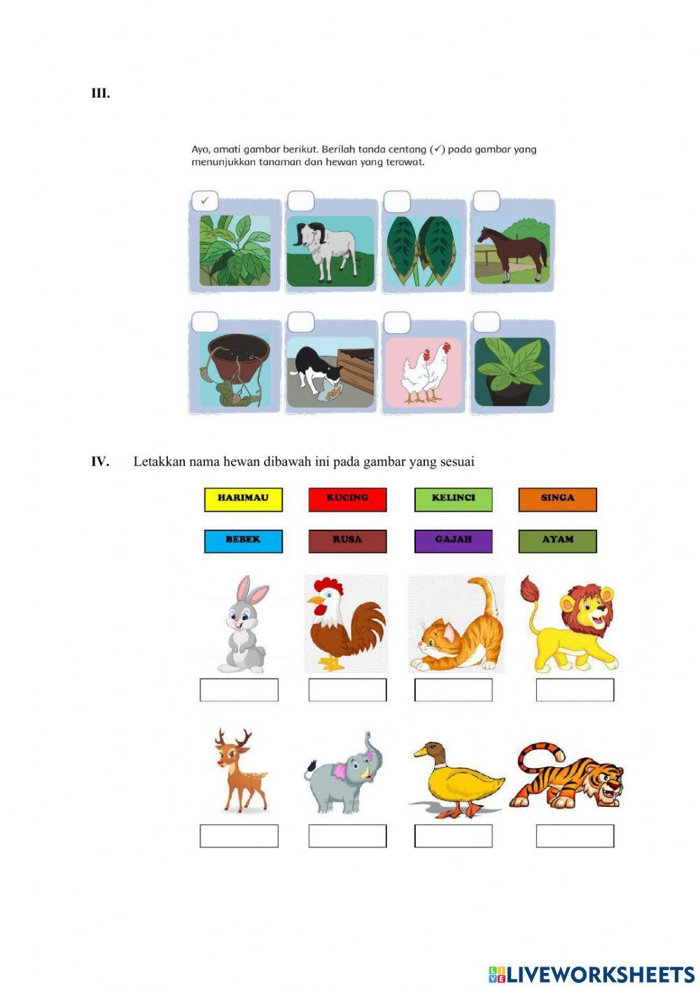 Soal Latihan Kelas 2