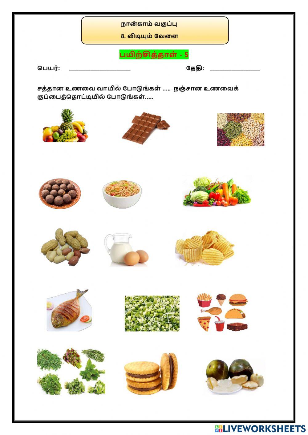 8. விடியும் வேளை  -பயிற்சித்தாள் 5
