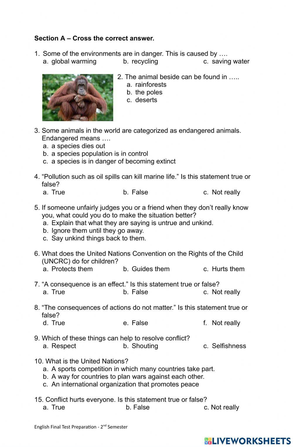 English vs Social Studies