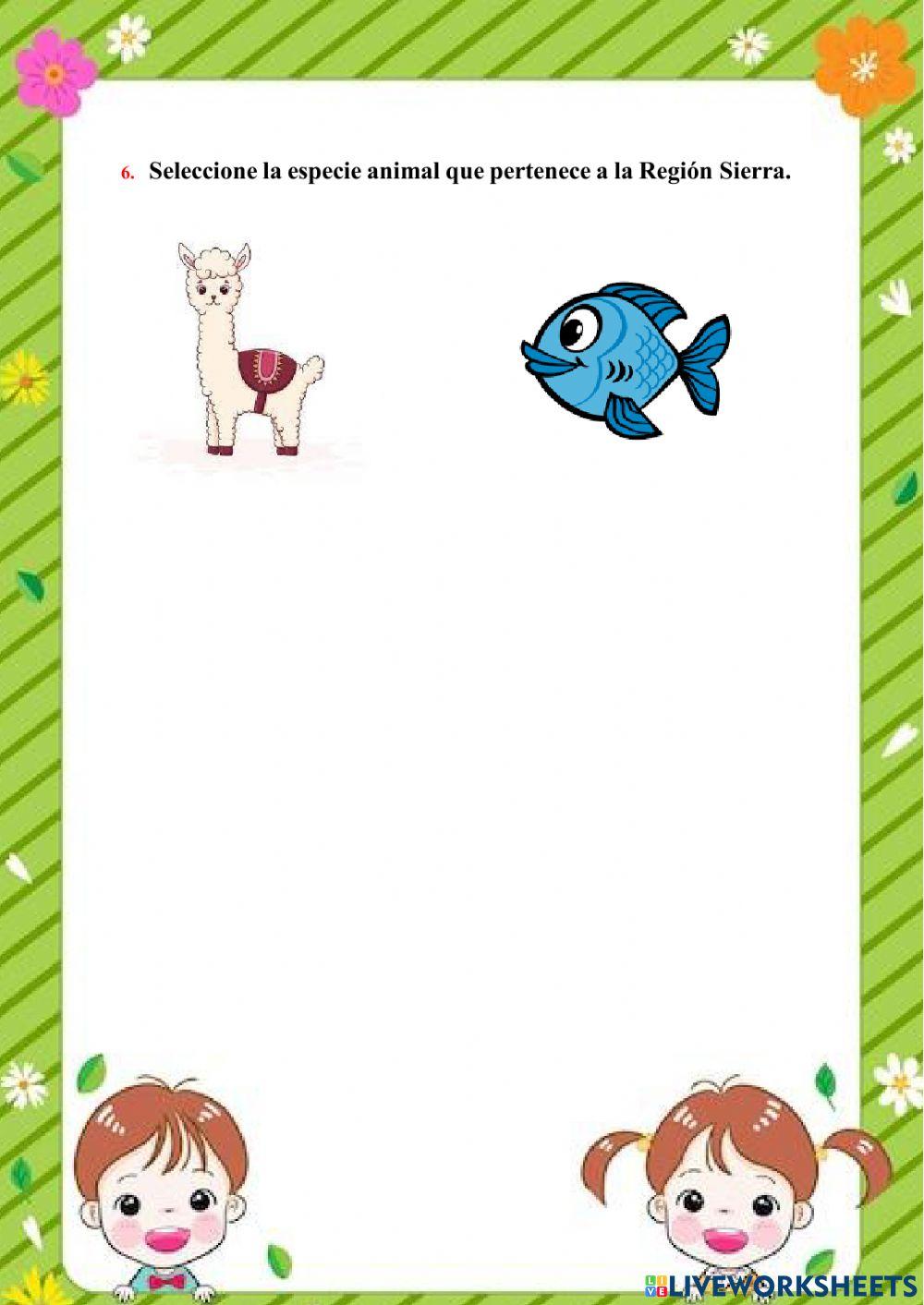 Región  Interandina o Sierra