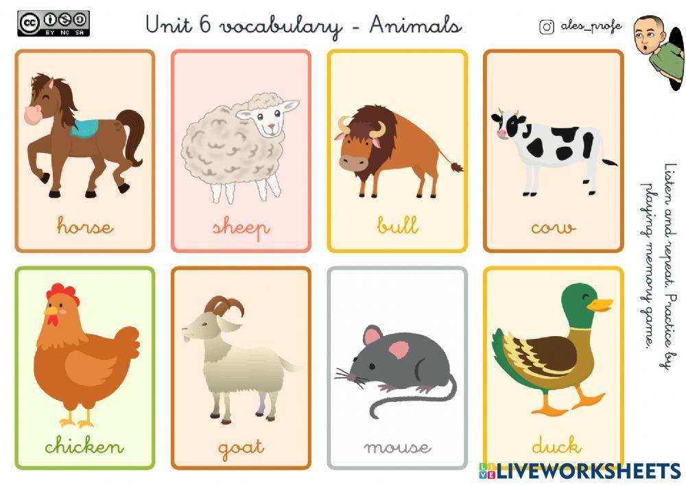 Animals
