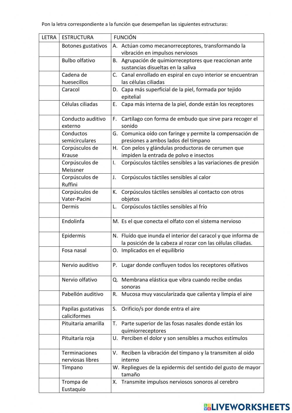 La relación:tacto, olfato, gusto y oído