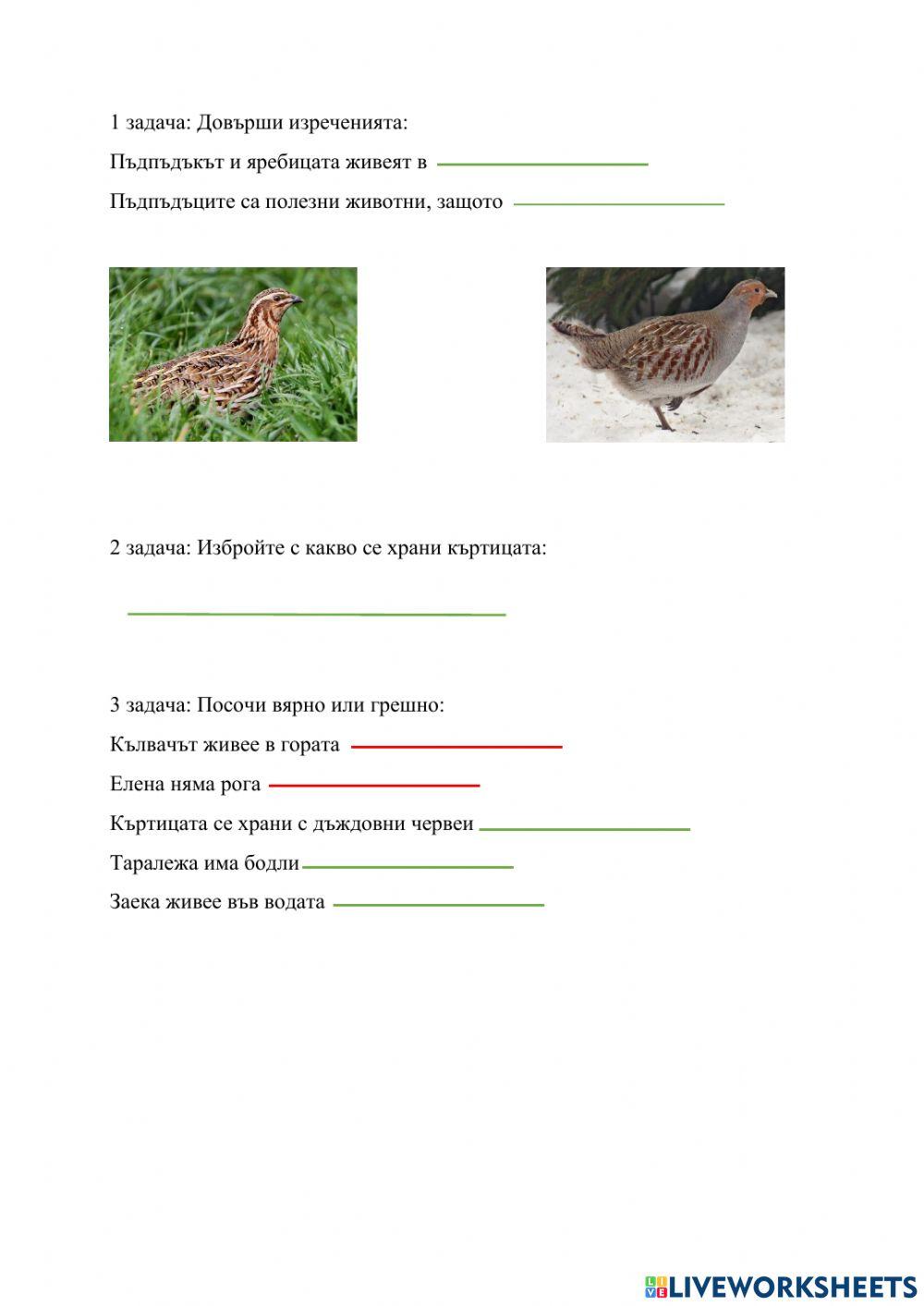 Животът на сушата