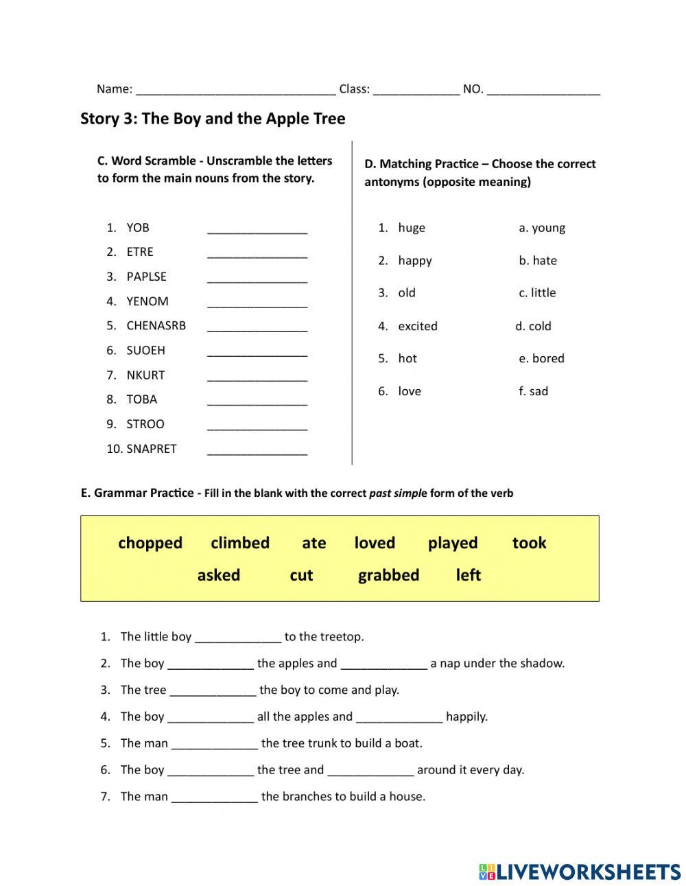 Noun, Verb, Adjective