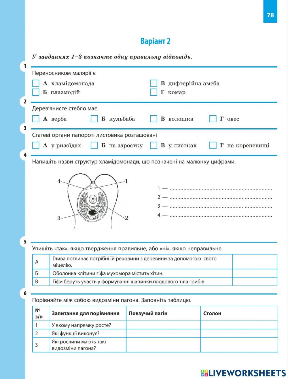 Річна контрольна робота , 6 клас