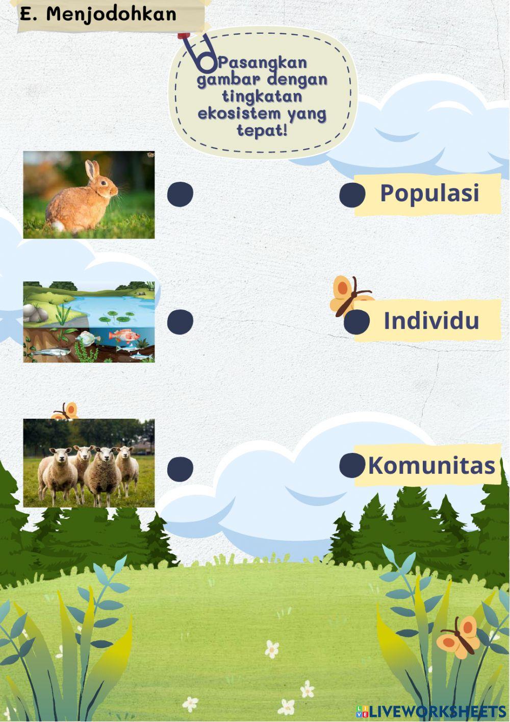 Latihan Soal Kelas 5 Tema 5