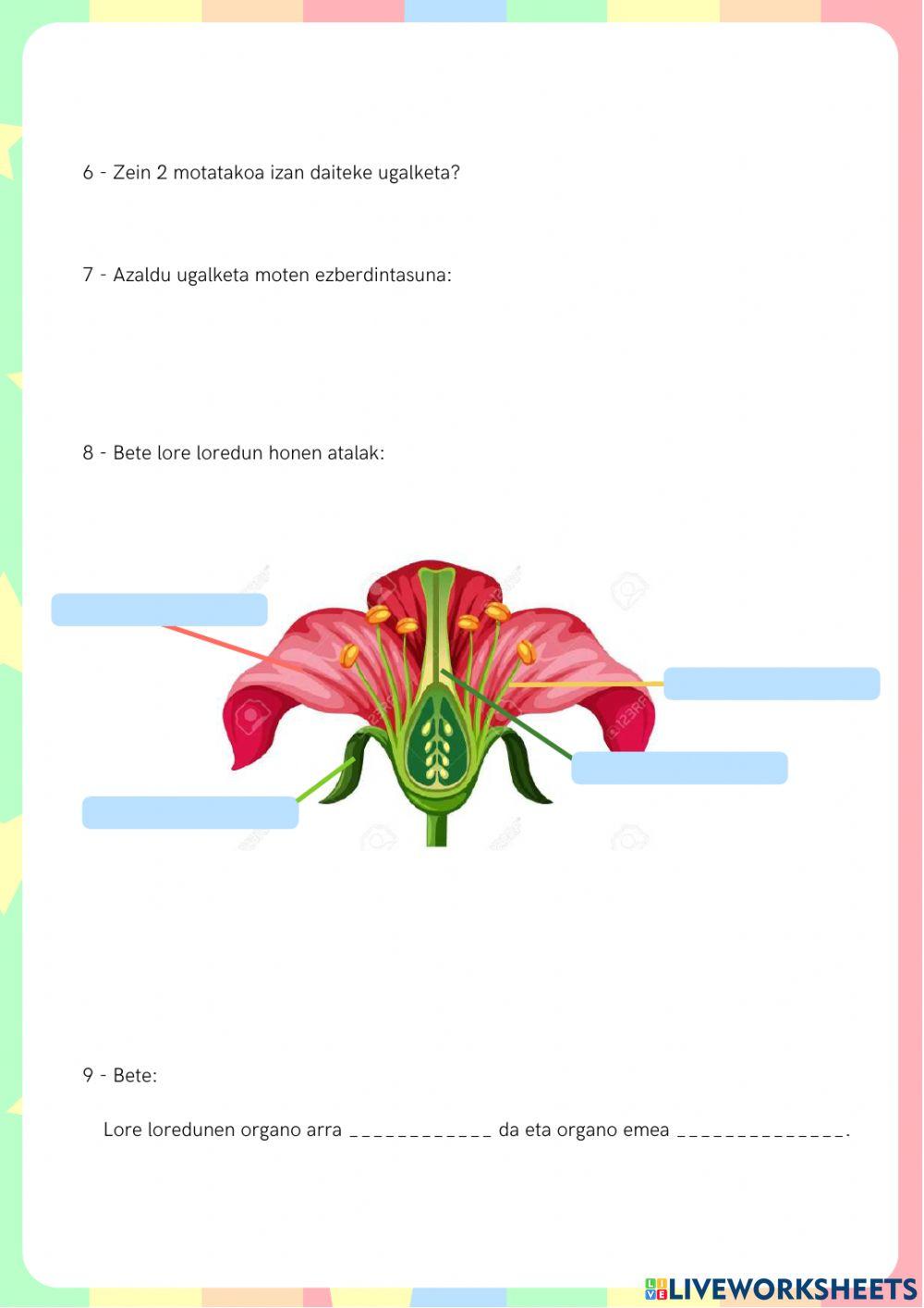 Landareen eta animalien ugalketa