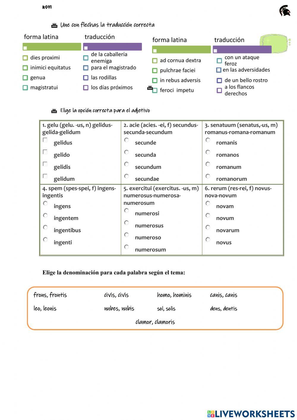 5 declinaciones latinas repaso mayo