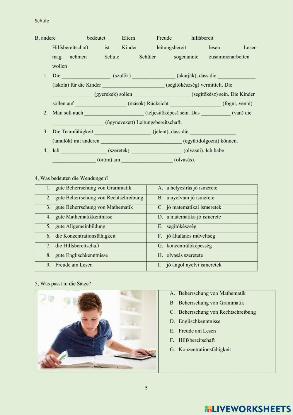 Anfroderungen an die Schule - Deustch Ungarisch