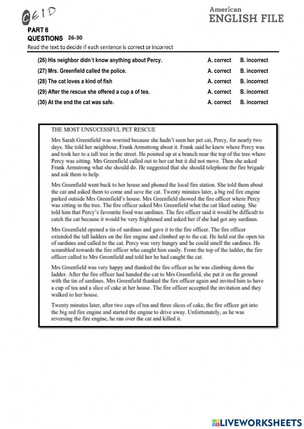 final examination cycle 13