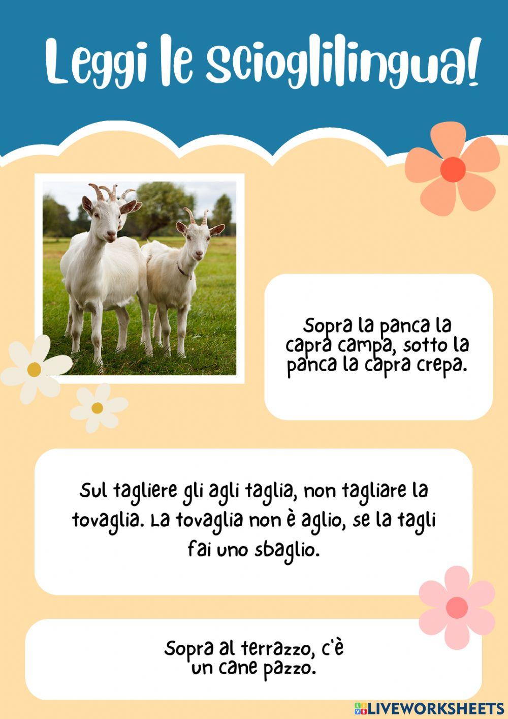 Prova a leggere le scioglilingua