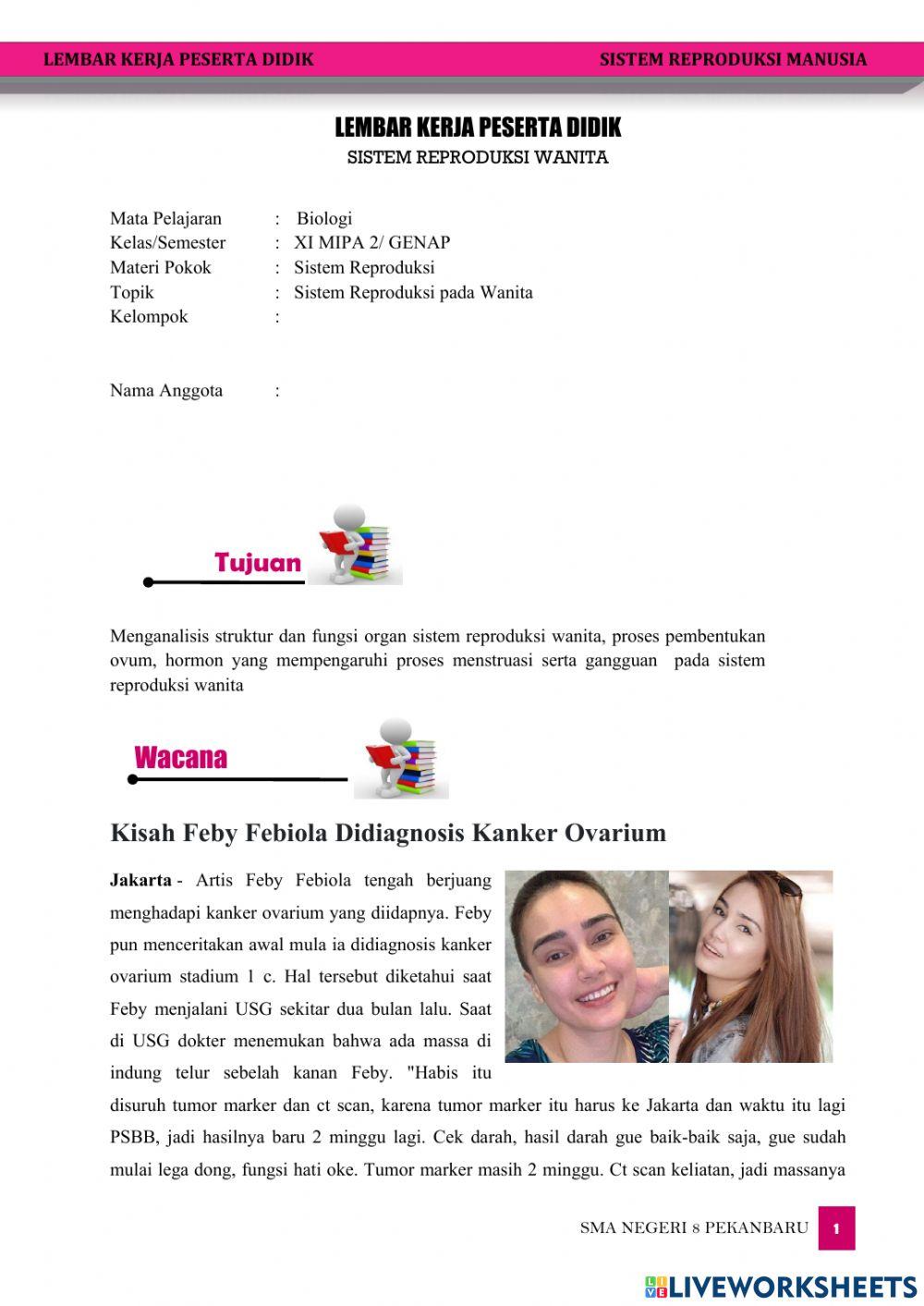 Sistem Reproduksi Wanita