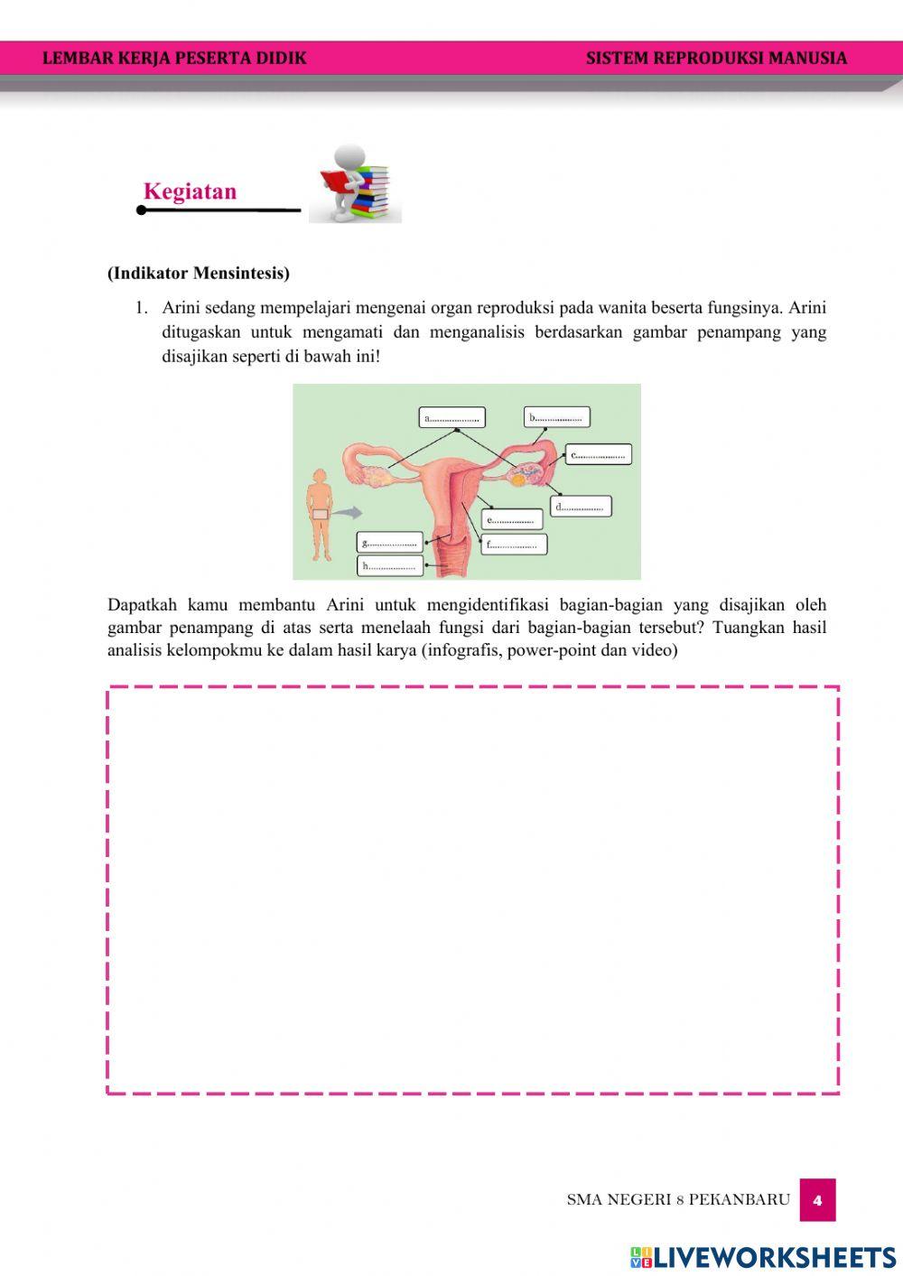 Sistem Reproduksi Wanita