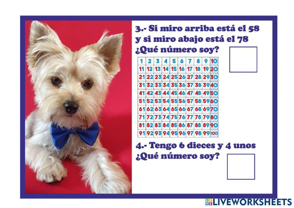 Acertijos matemáticos con Axel