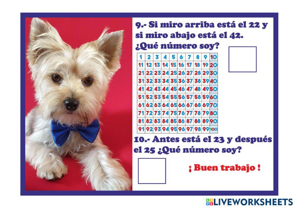 Acertijos matemáticos con Axel