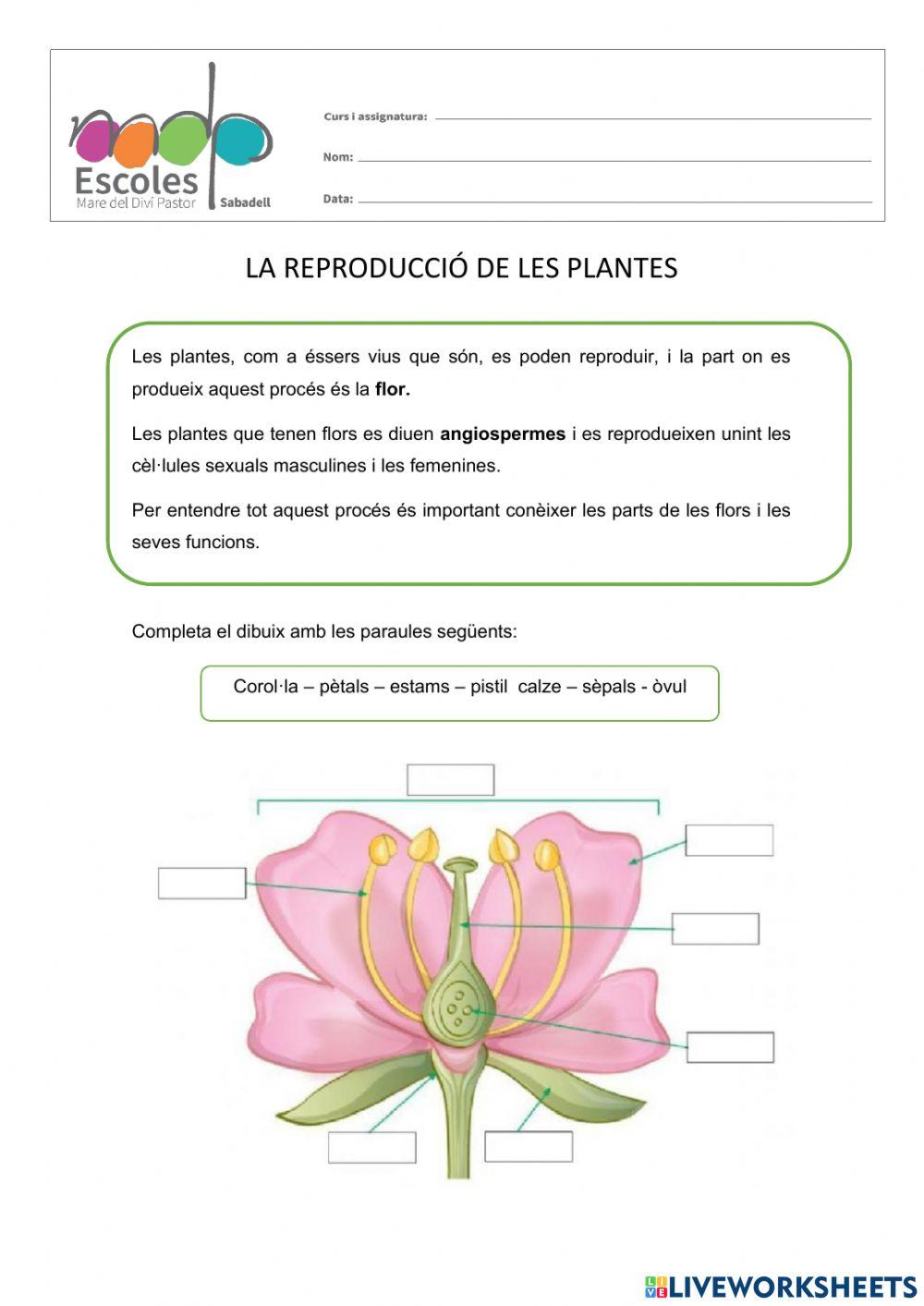 Reproducció de les plantes