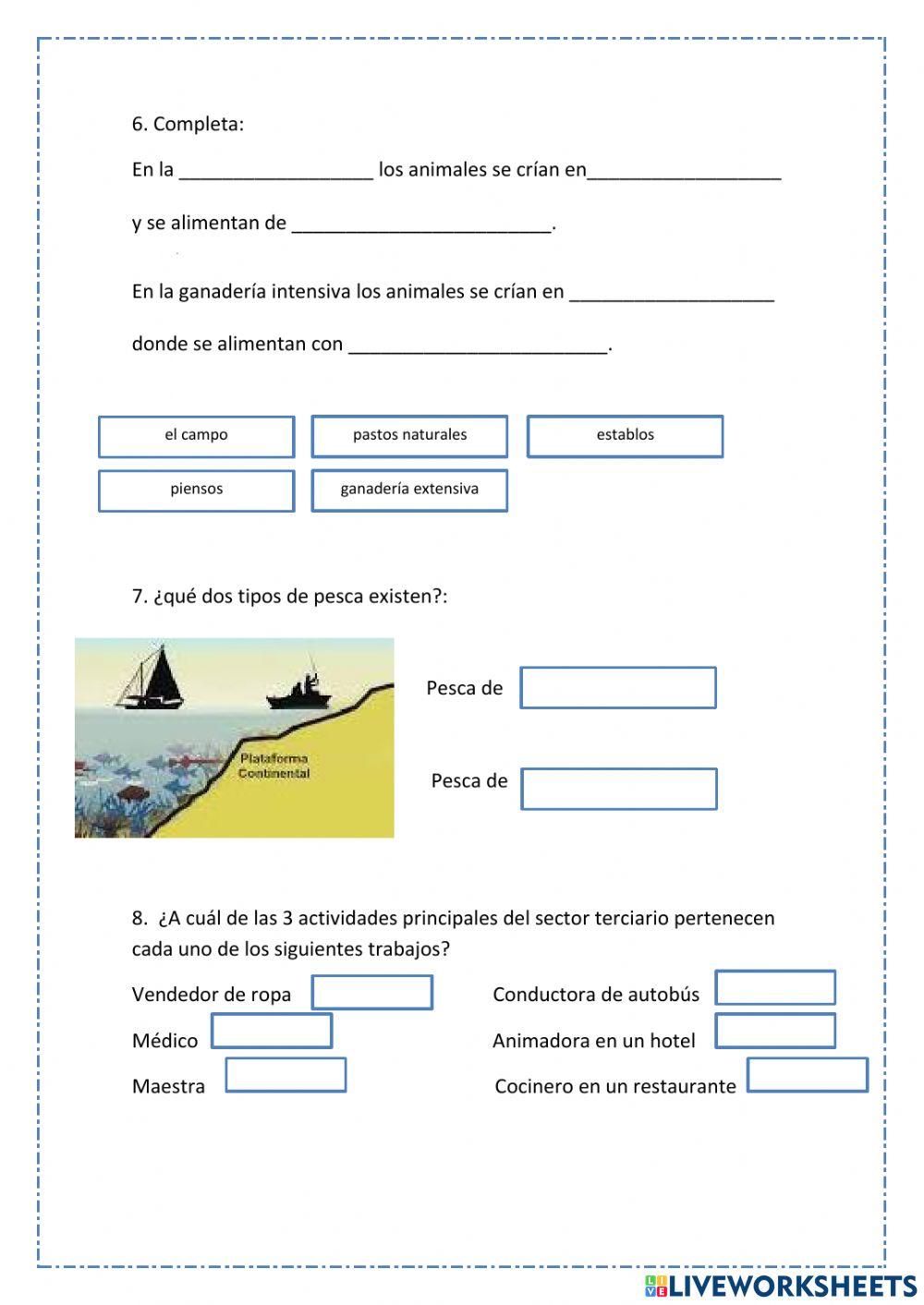 Las actividades económicas