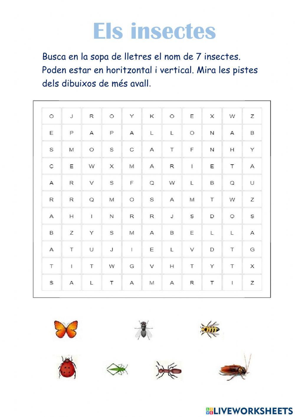 Sopa de lletres insectes