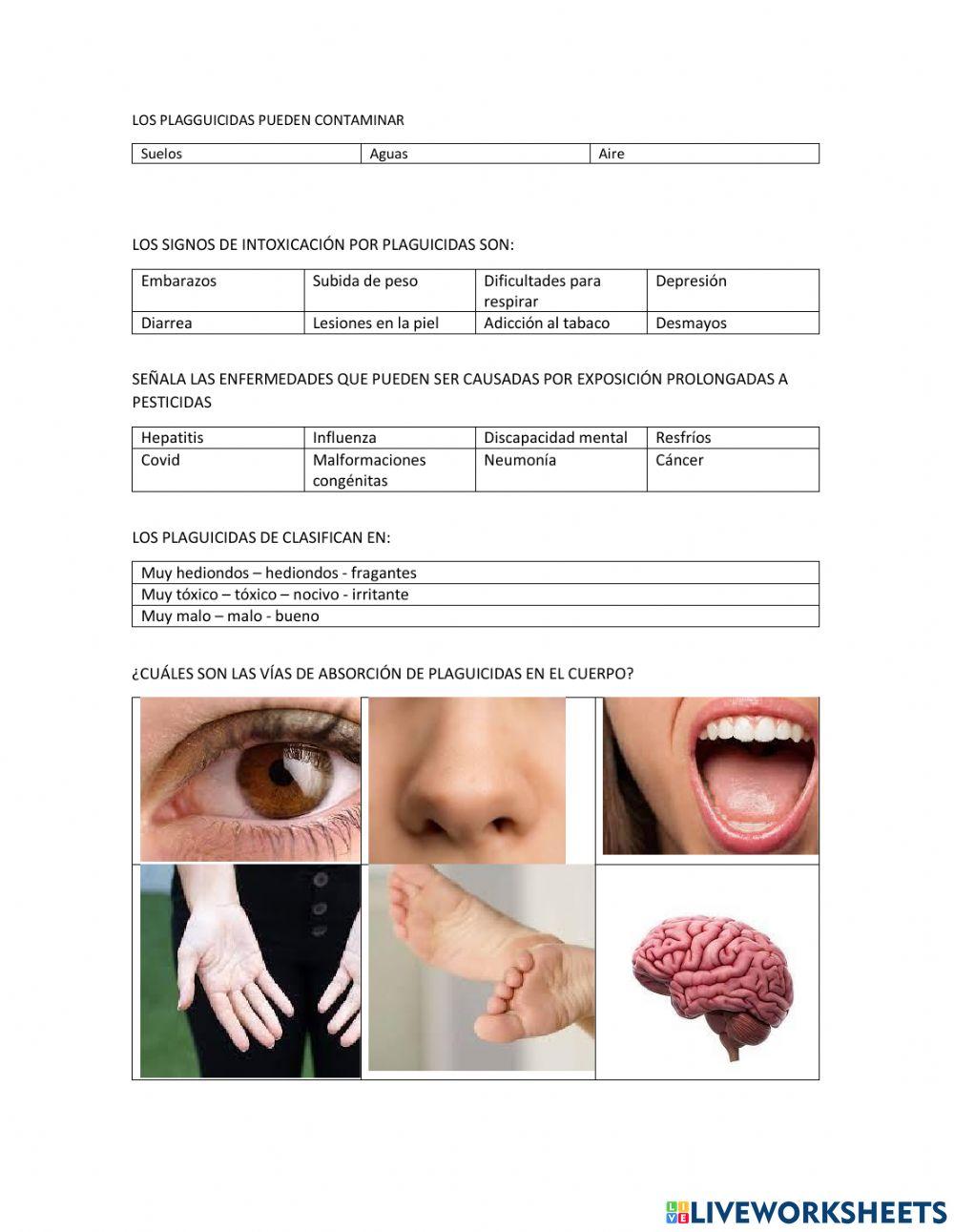Influencia de plaguicidas en la salud