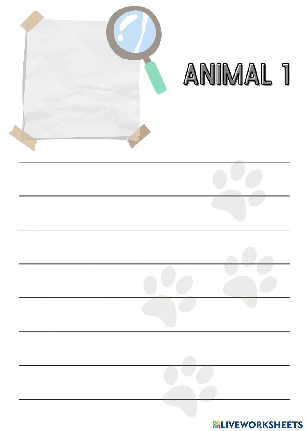 Animals around the world-wild