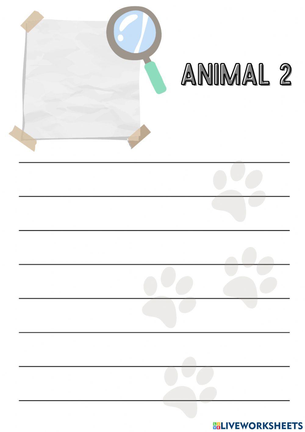 Animals around the world-wild