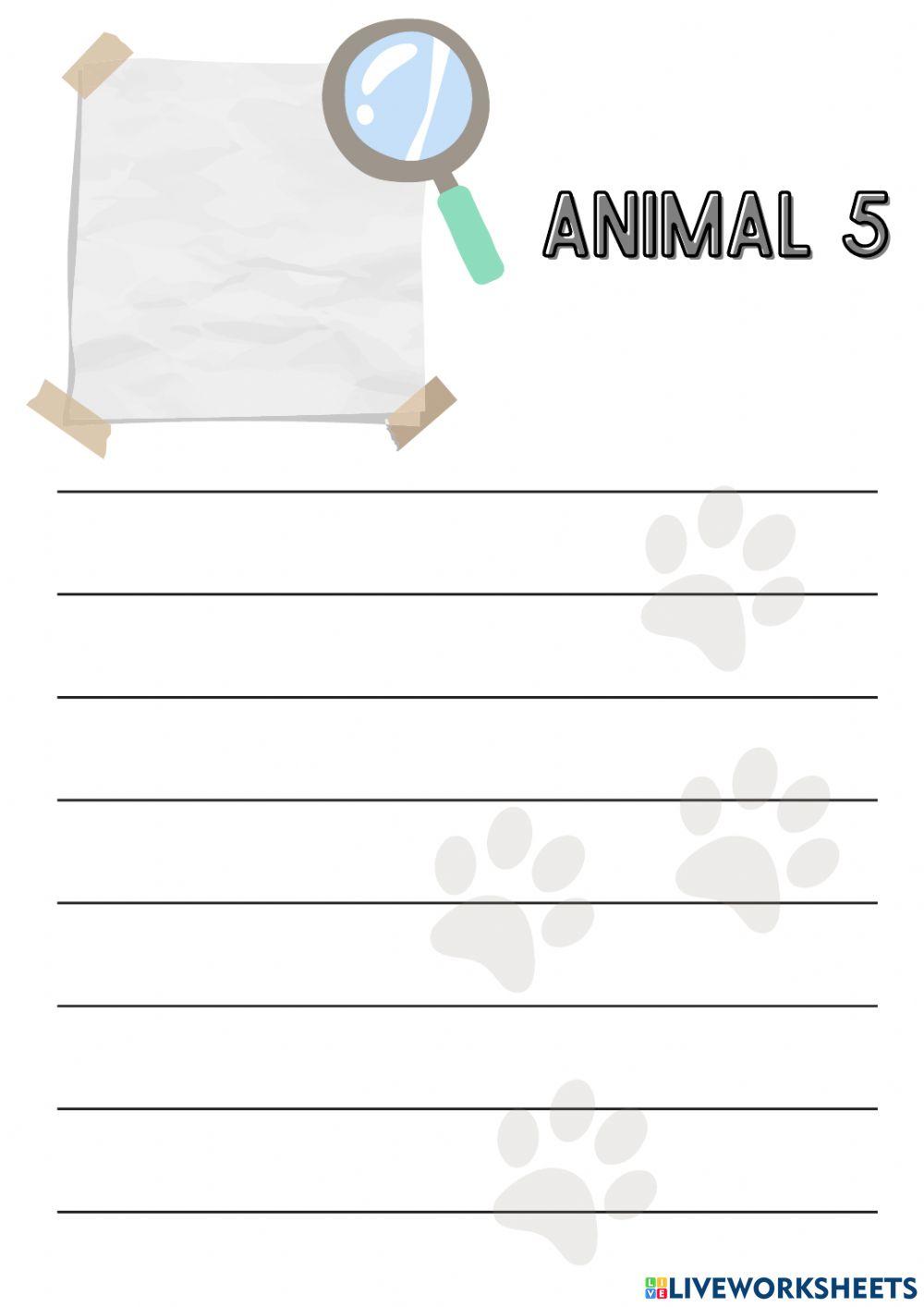 Animals around the world-wild