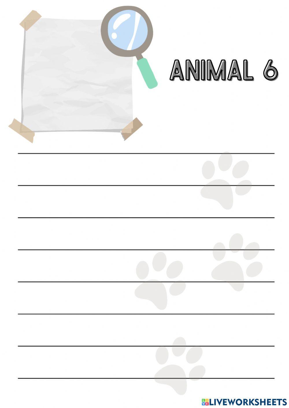 Animals around the world-wild