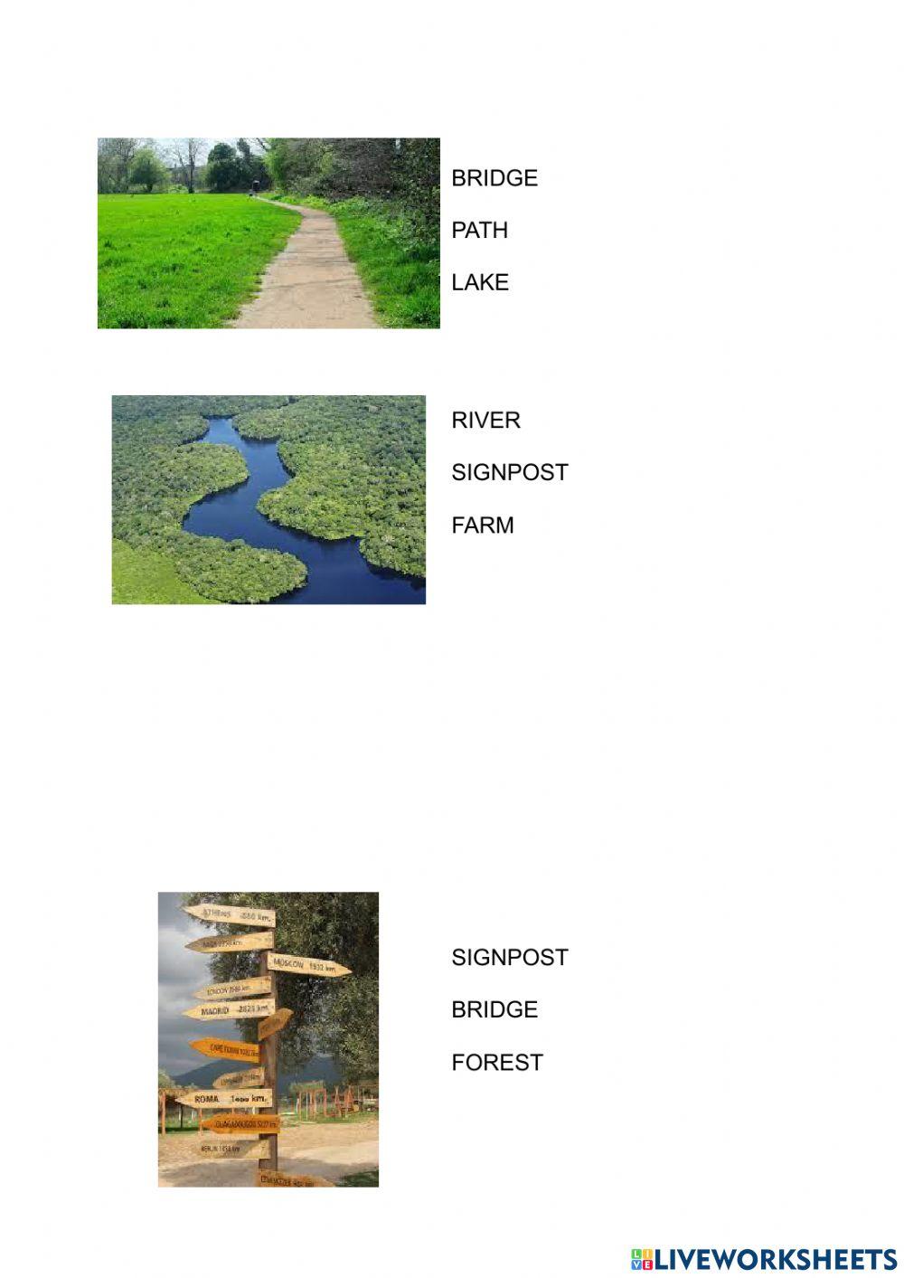 IN THE COUNTRYSIDE: read and select.