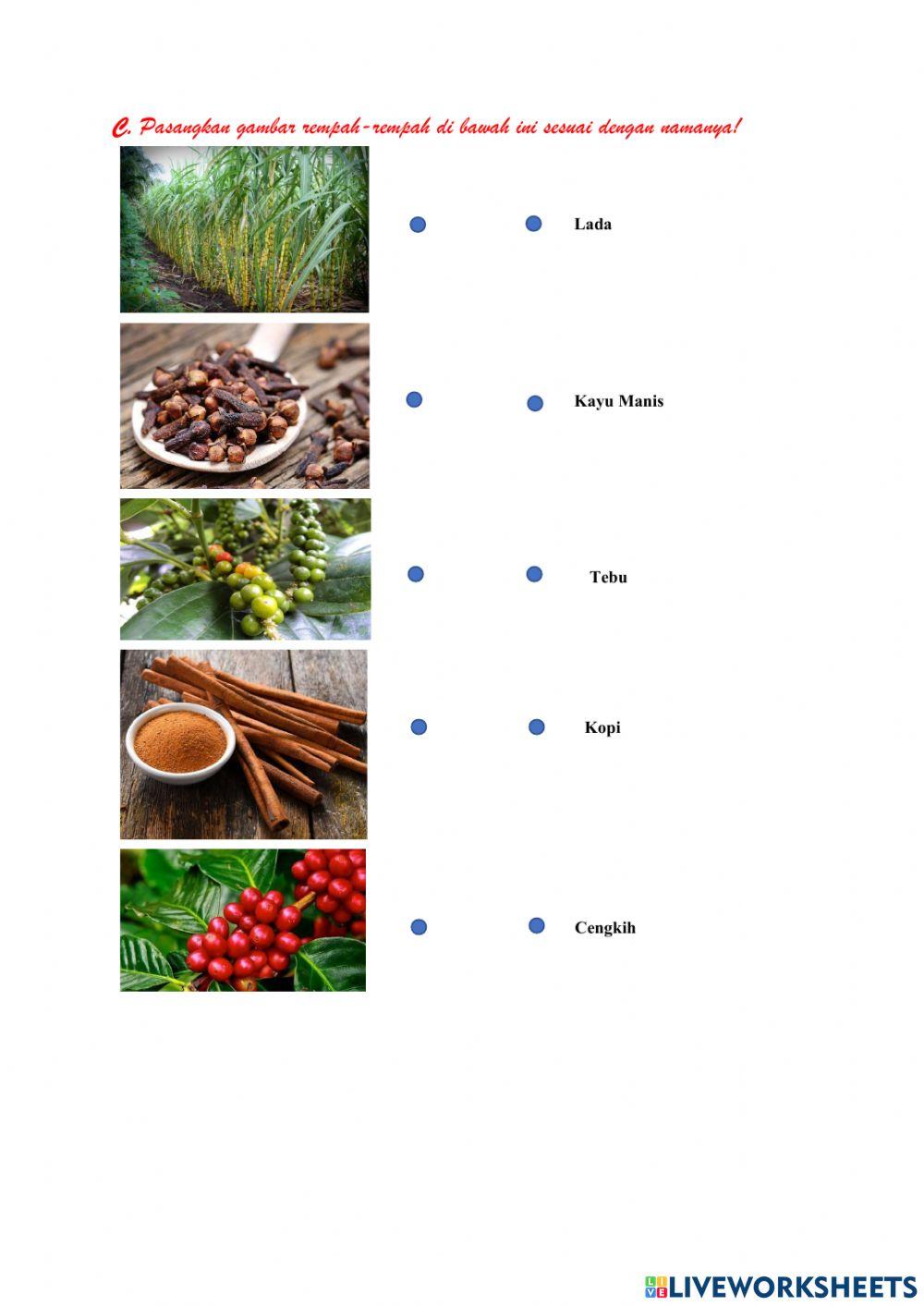 Lkpd ips kelas 8 bab 4