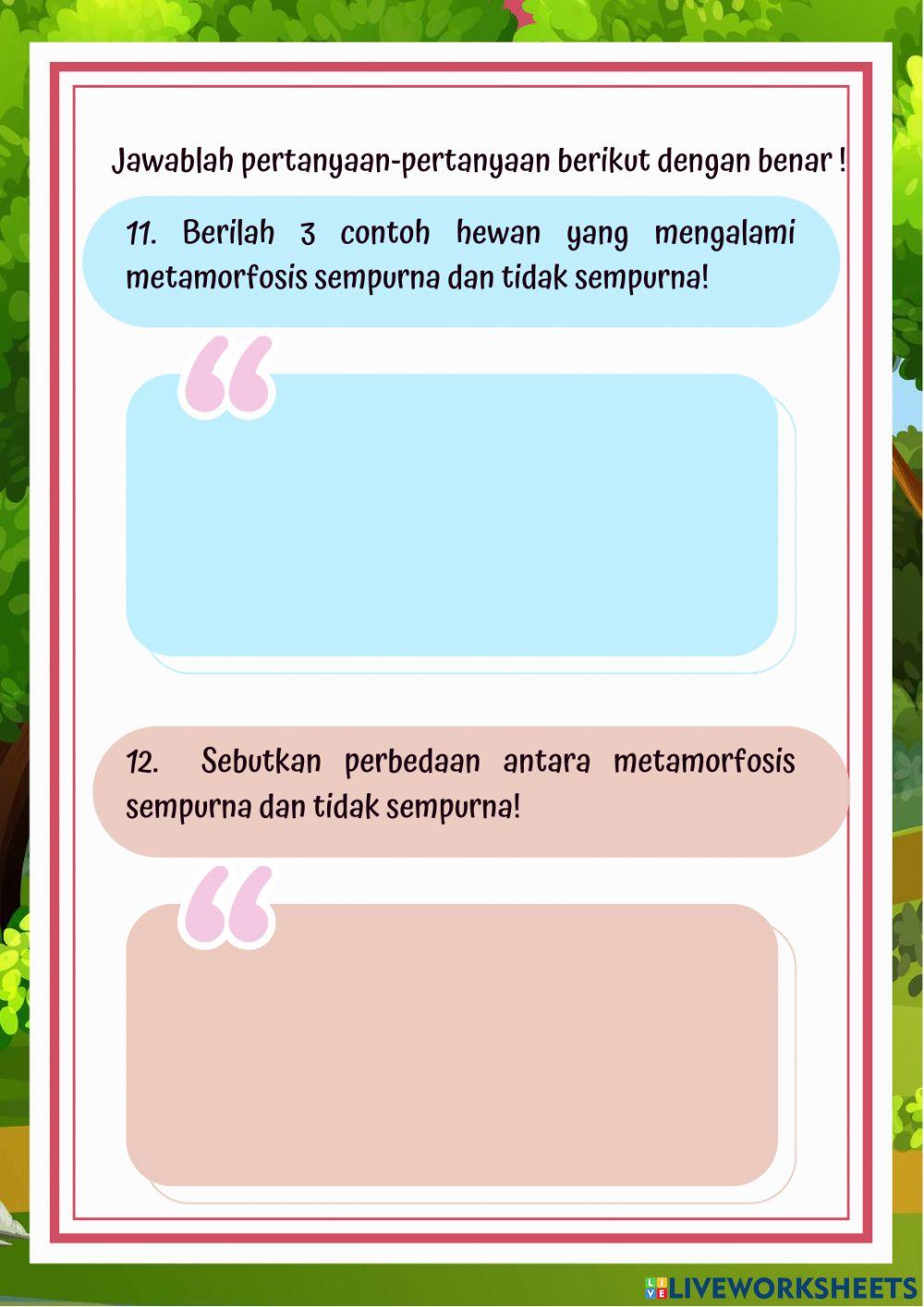 Latihan Soal Metamorfosis Kelas 4 Tema 6