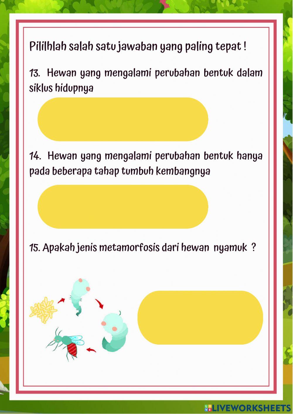 Latihan Soal Metamorfosis Kelas 4 Tema 6