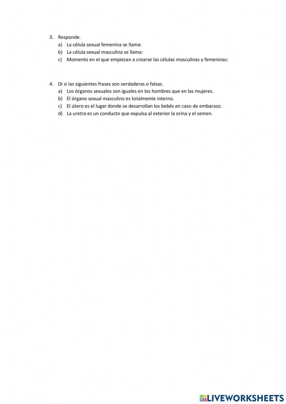 Ficha del aparato reproductor