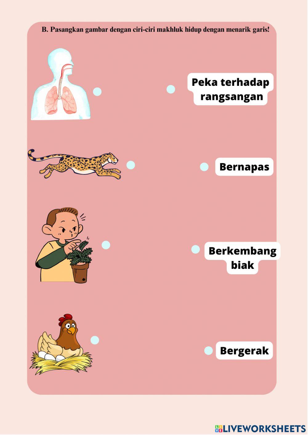 LKPD Ciri-Ciri Makhluk Hidup