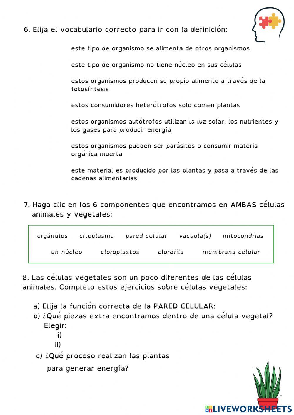 CN UNIT 4: Ecosystems and Living Things