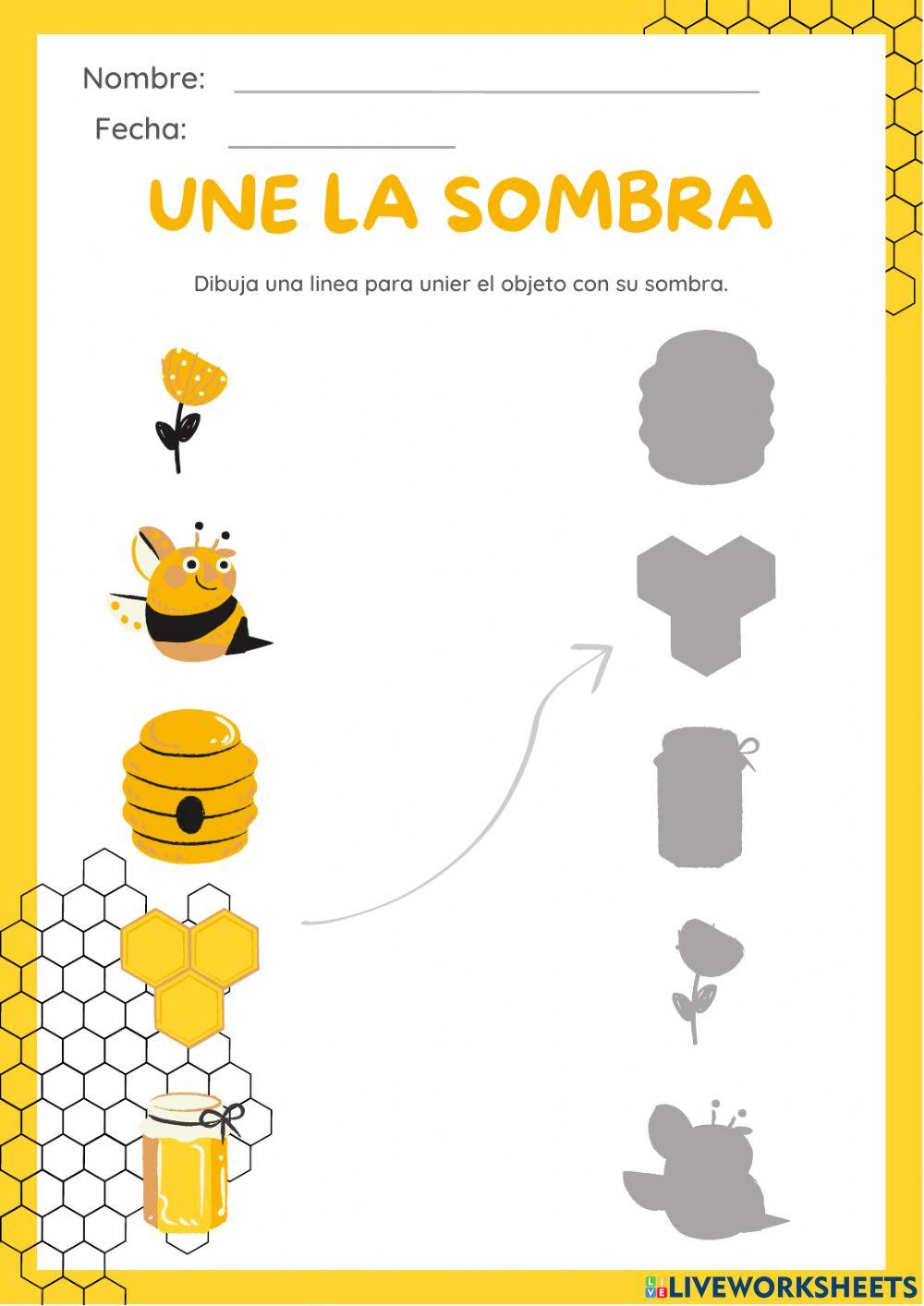 Ficha sobre las abjeas