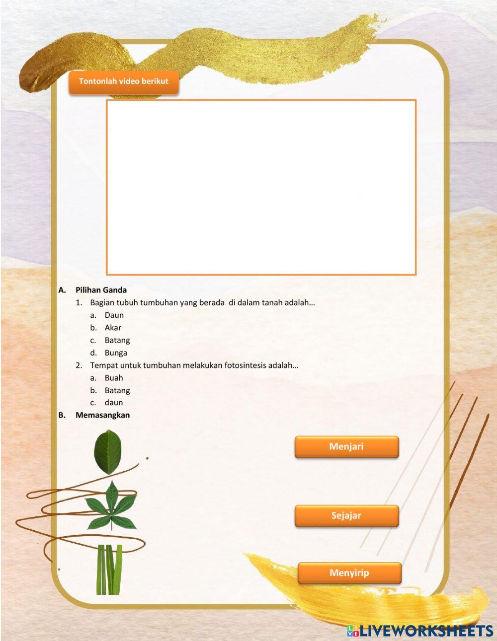 Contoh Soal Bagian Tubuh Tumbuhan dan Fungsinya