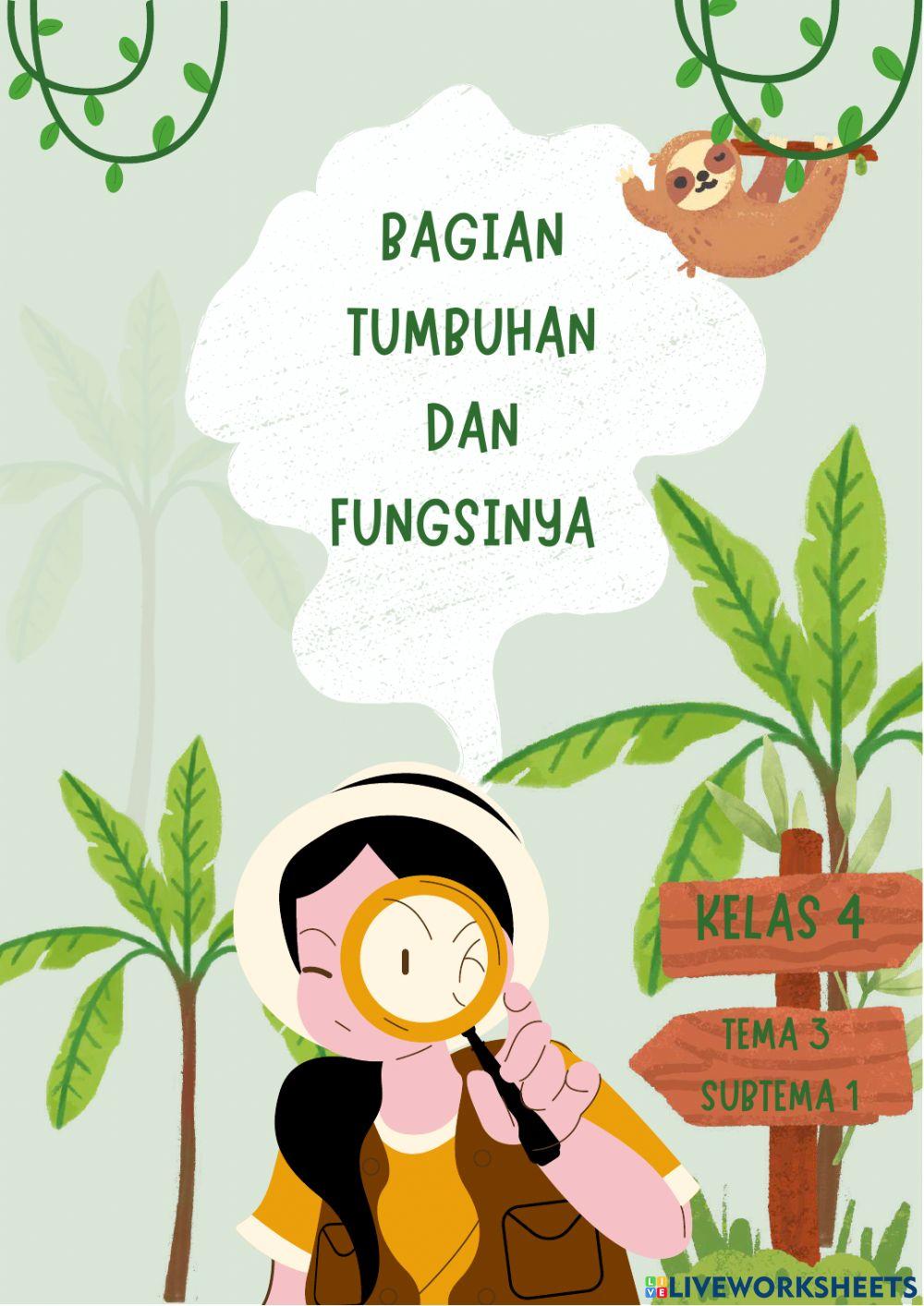 Bagian Tumbuhan dan Fungsinya