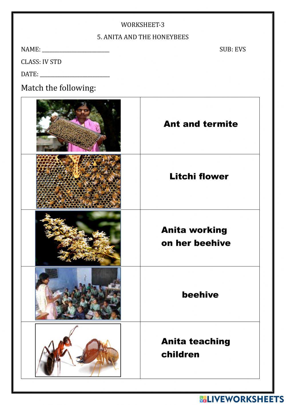 Anita and the Honeybees