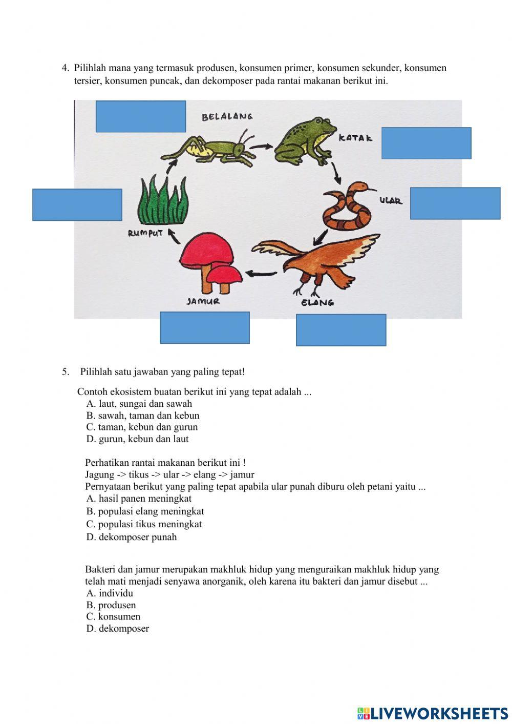 Quiz keanekaragaman hayati