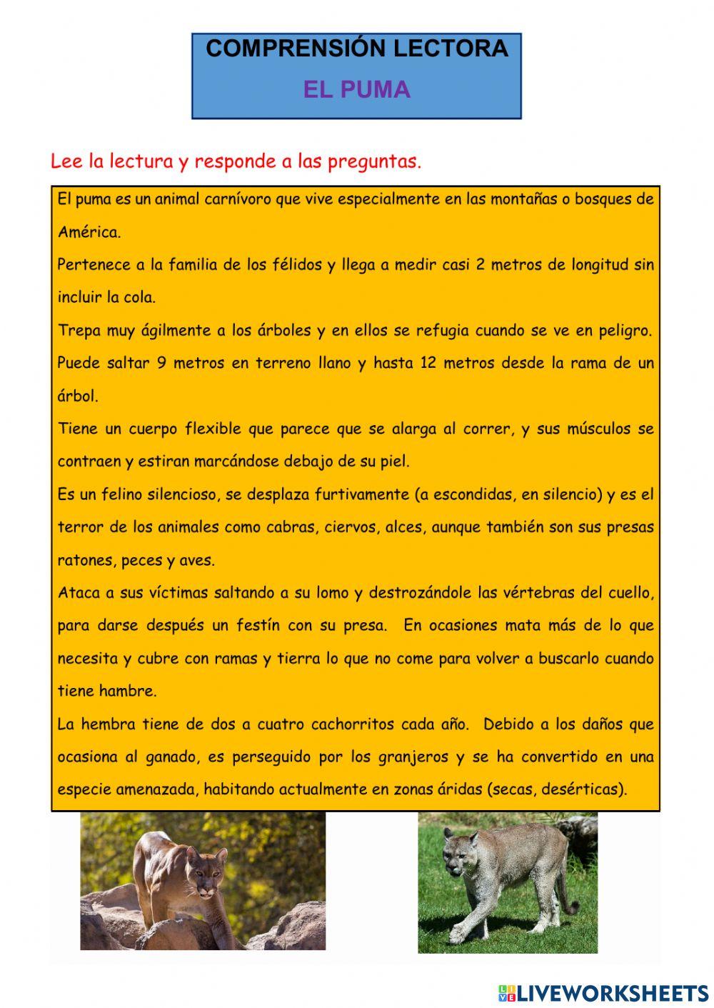 Comprensión lectora: el puma
