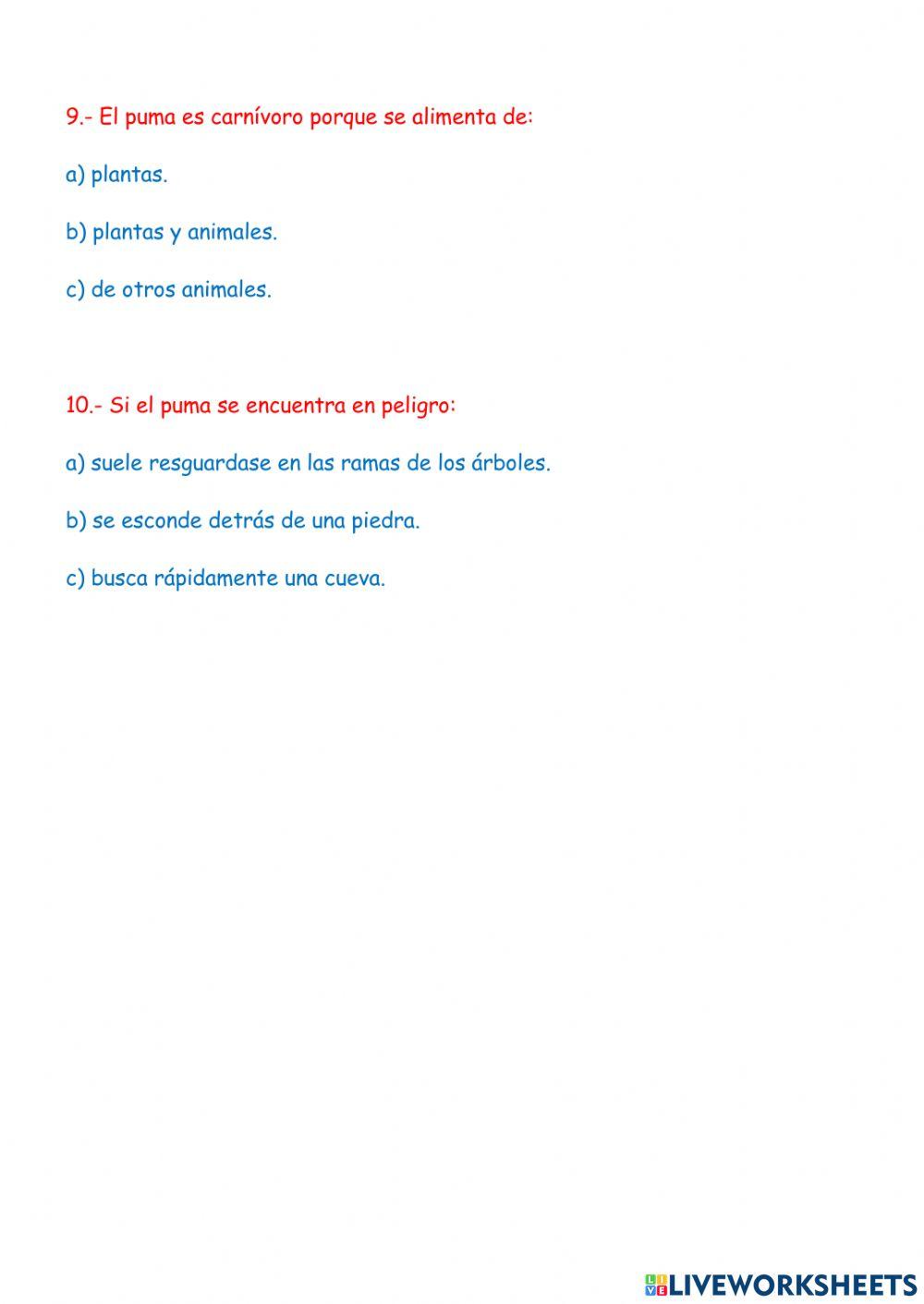 Comprensión lectora: el puma