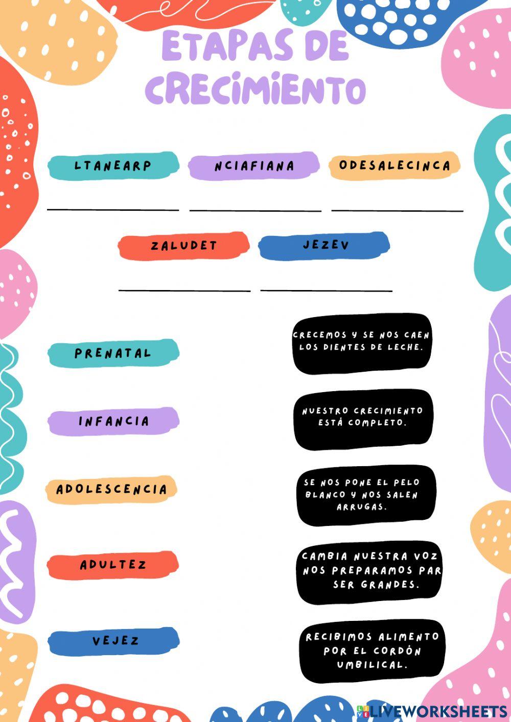 Etapas del crecimiento