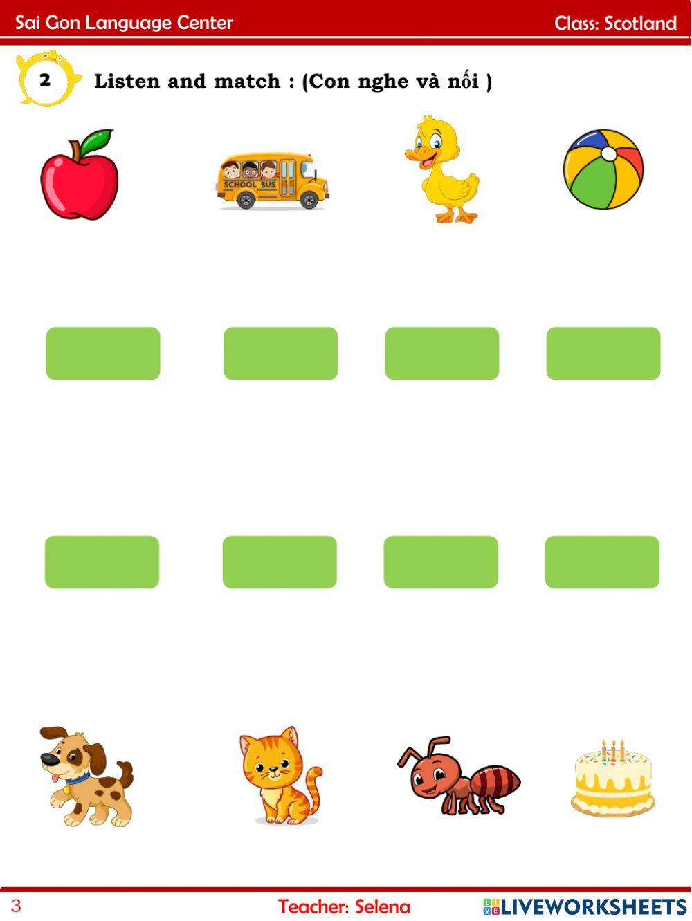 Scotland 5-5 Review A B C D