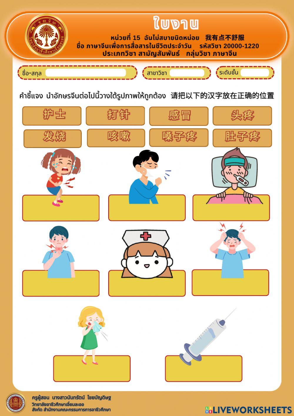 7185061 Chinese Miss Nantarat Chaibandit 7185061 Chinese Miss Nantarat Chaibandit