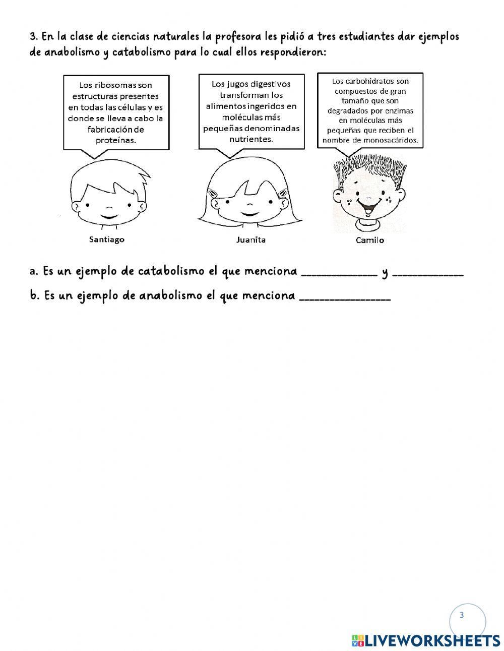 Actividad Evaluativa Metabolismo